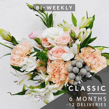 Bi-Weekly Subscription - Classic